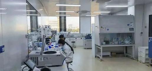 奉賢生物技術企業新春發力，研發一線“火力全開”沖刺全年目標